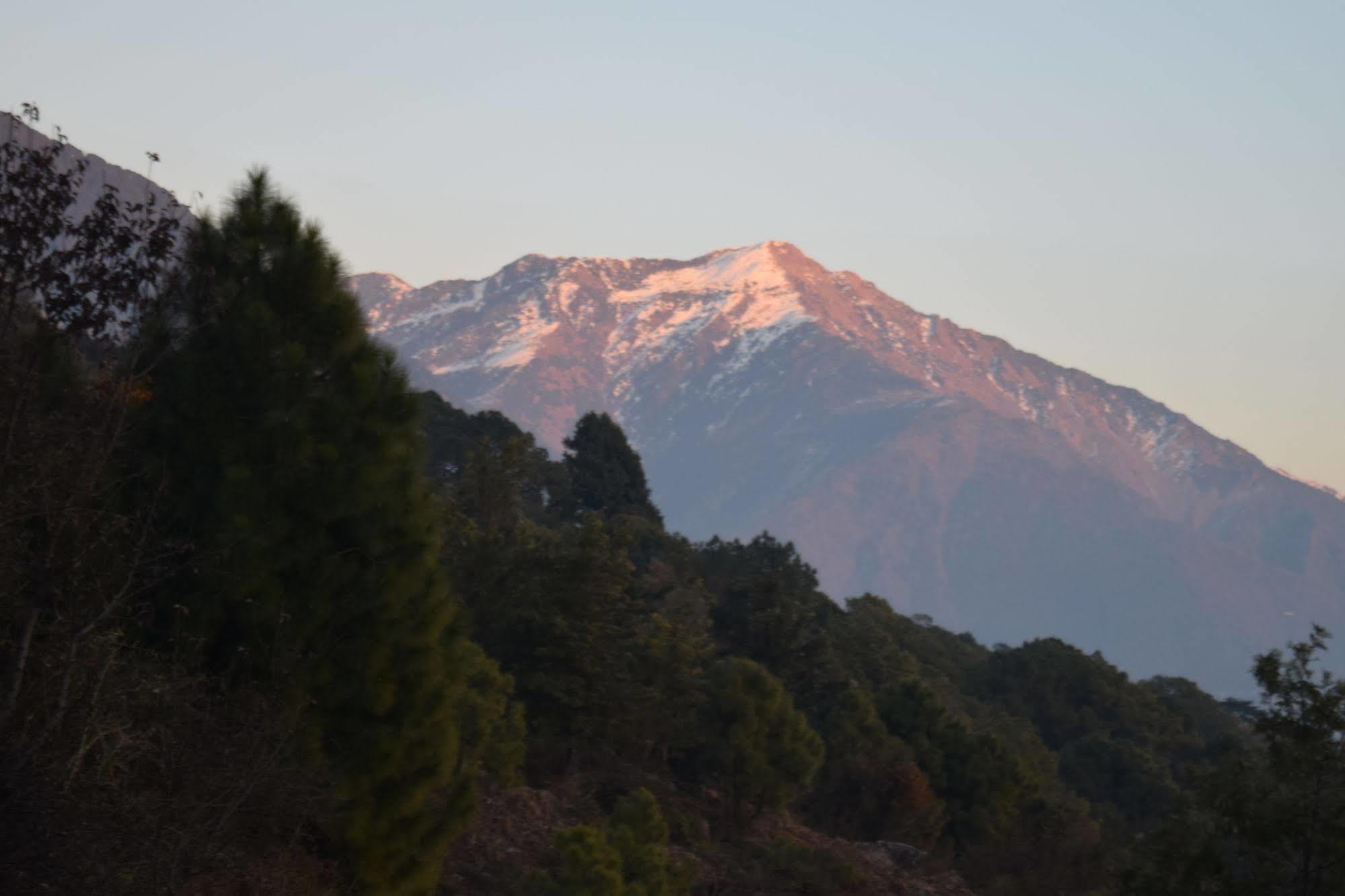 The Exotica Hotel Dharamshala Bagian luar foto